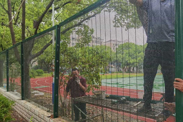 Wire Mesh Fence