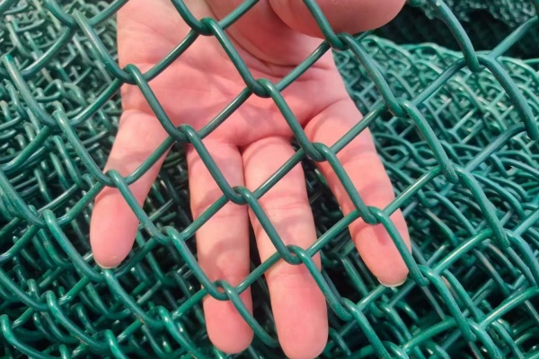 Chain Link Fence